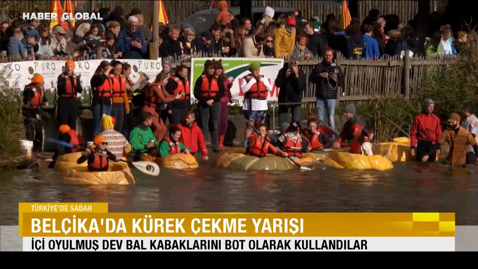 Course d'aviron avec des citrouilles