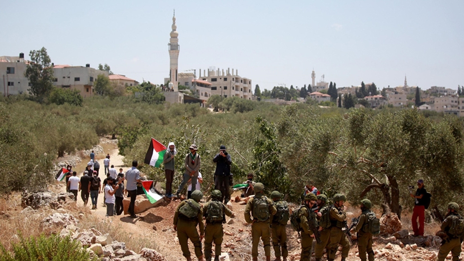 Israël a mené 158 attaques contre des agriculteurs cueillant des olives en Cisjordanie