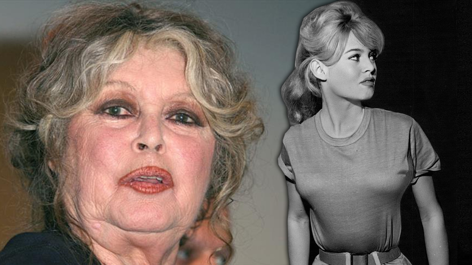 L'actrice légendaire Brigitte Bardot a été hospitalisée