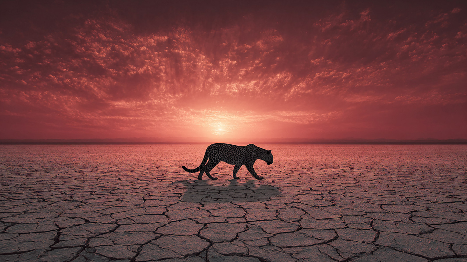 Le cœur du climat a changé : la Terre n’est plus la même planète