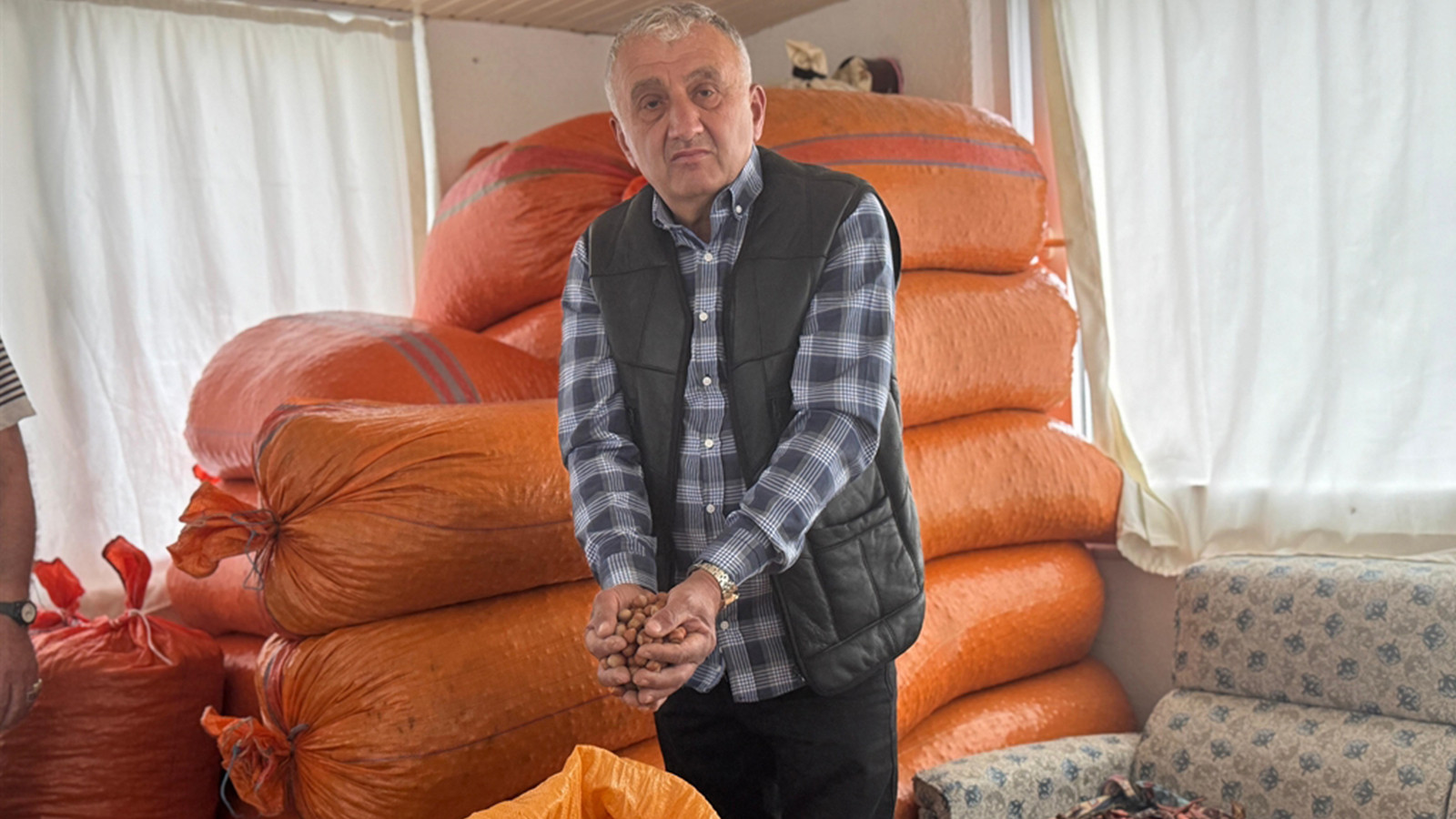 Les producteurs de noisettes s'attendent à une augmentation du prix ; les produits sont conservés à la maison