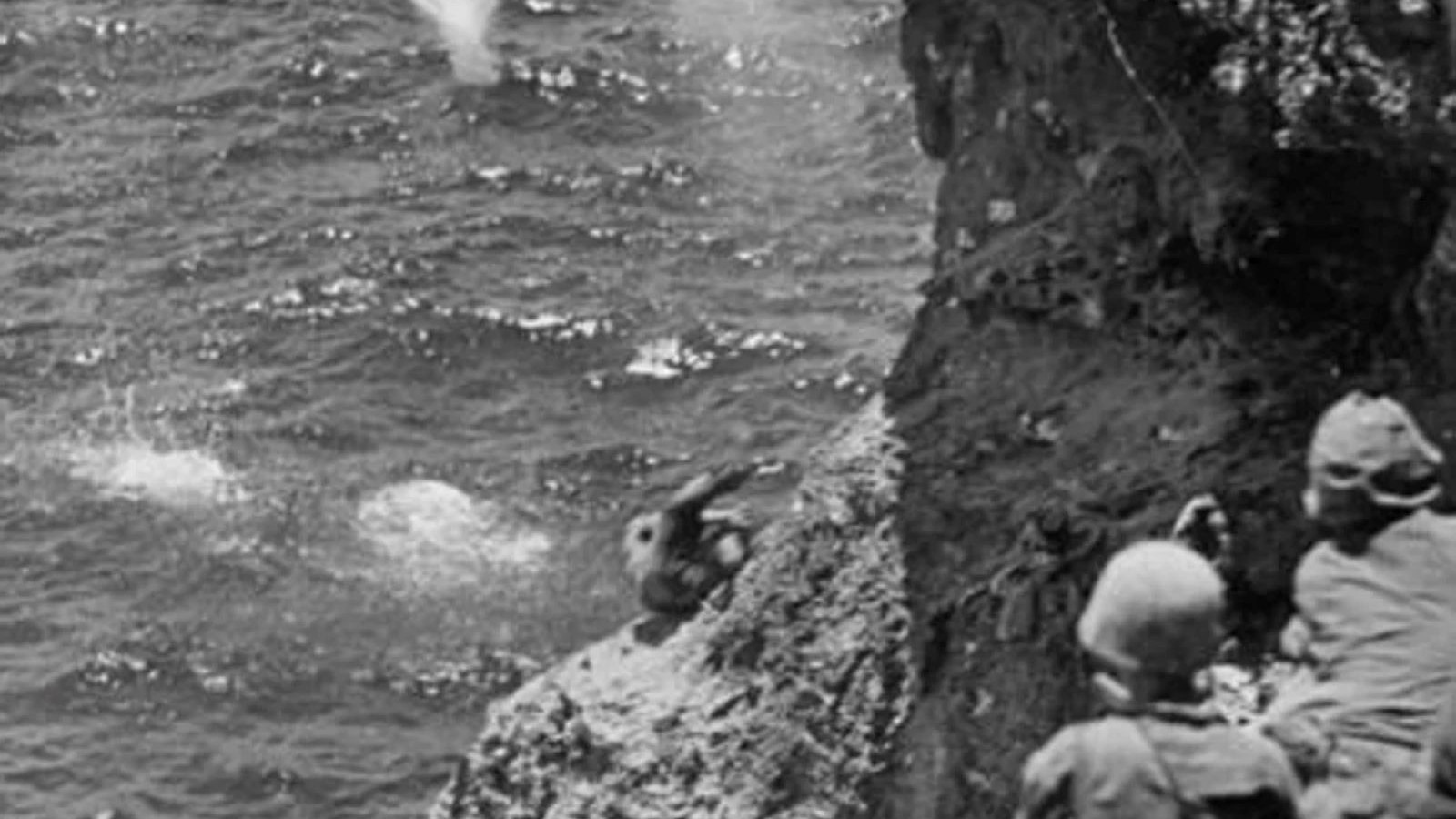 Ni le film n'a été tourné ni son roman n'a été écrit: la tragédie cachée de la Seconde Guerre mondiale