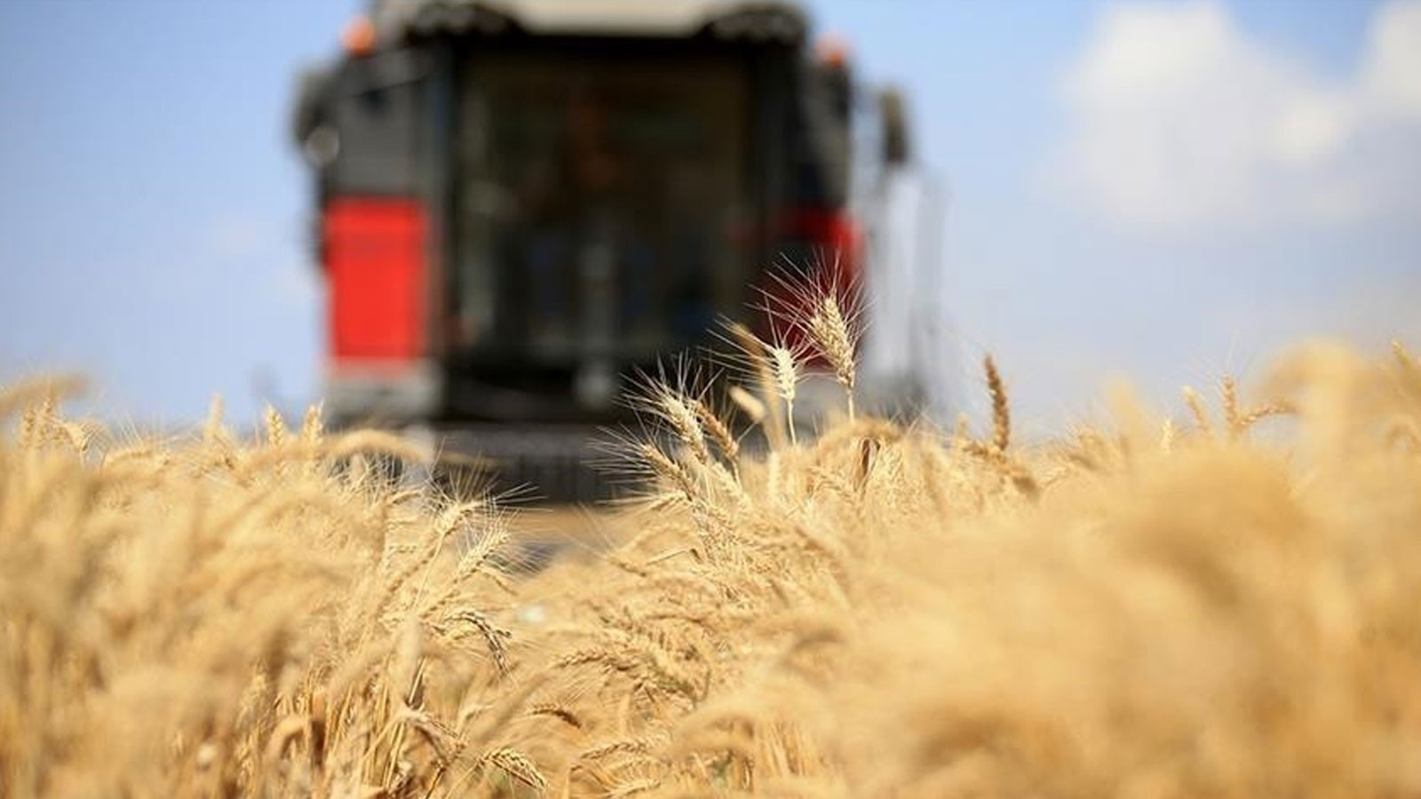 Nouveau projet visant à renforcer les politiques agricoles de la FAO et de la Turquie