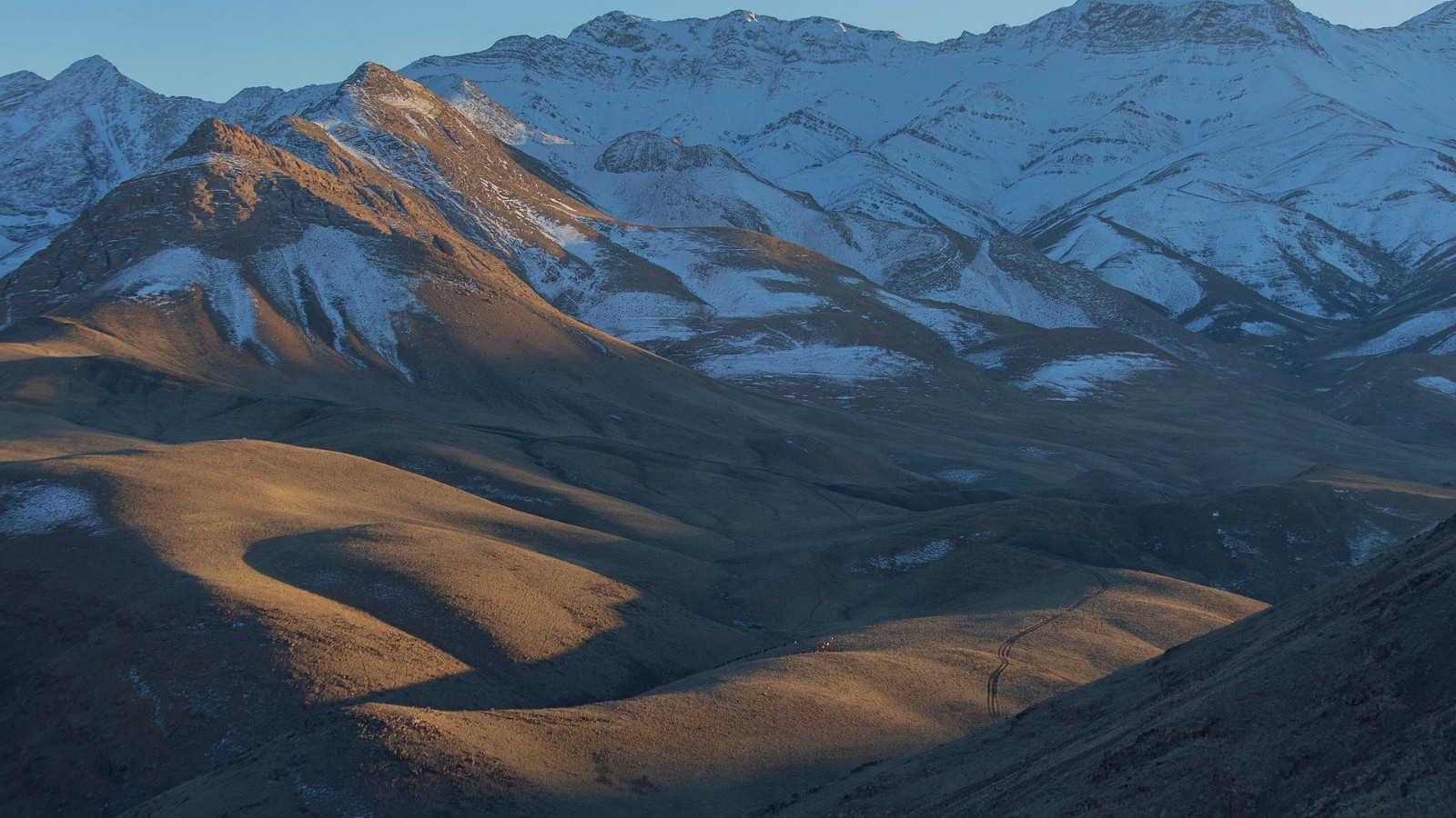 On a dit qu'il était « mort » il y a 700 000 ans, mais il est de nouveau passé à l'action.