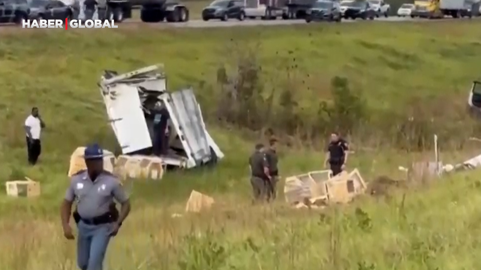 Panique des singes malades aux USA !