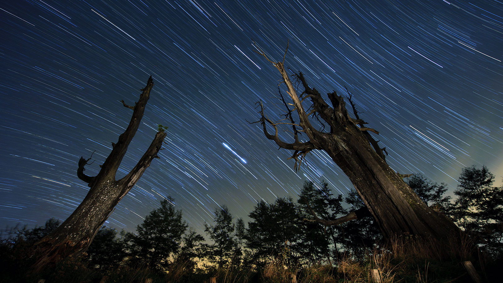 Regardez le ciel à 22h00 aujourd'hui ! Une intense pluie de météores arrive