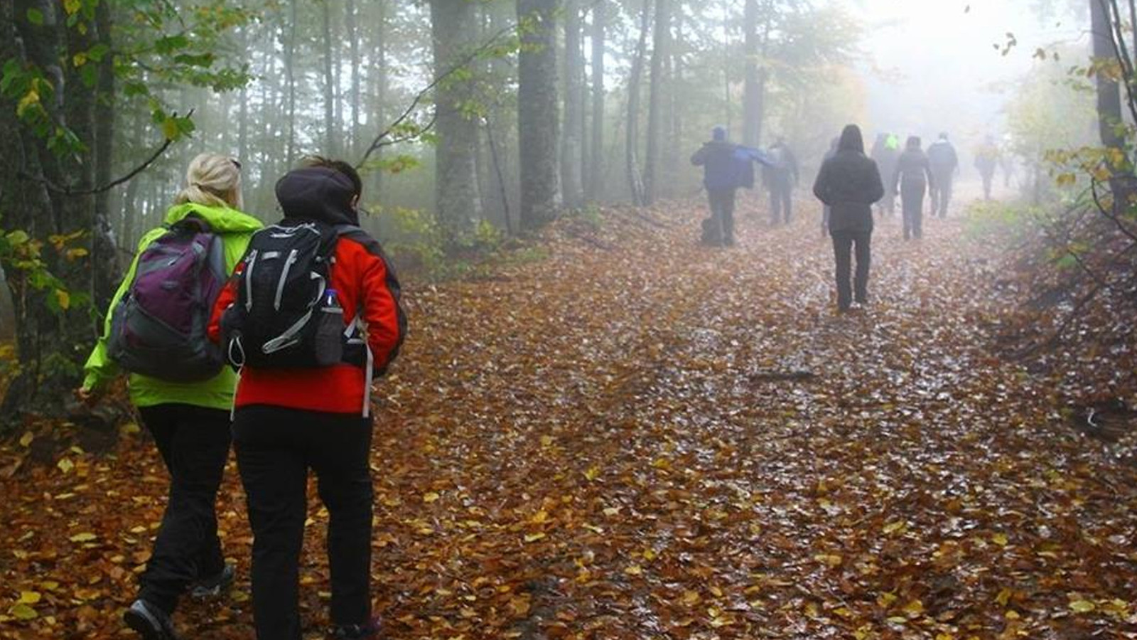 5 touristes en randonnée au Chili sont morts à cause d'une tempête