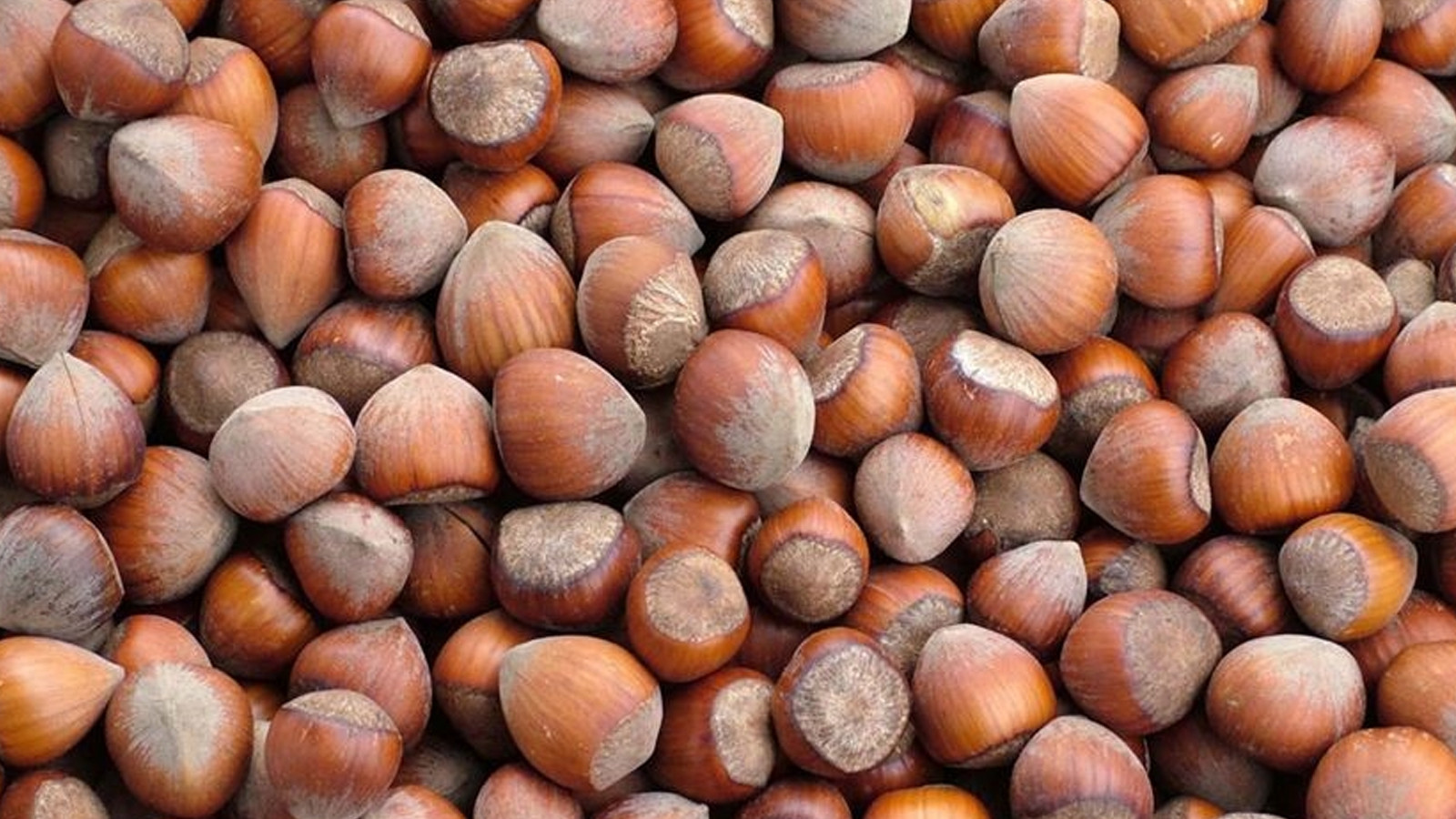 Développement flash sur le marché de la noisette ! Obligation d'achat historique du Conseil de la concurrence envers Ferrero