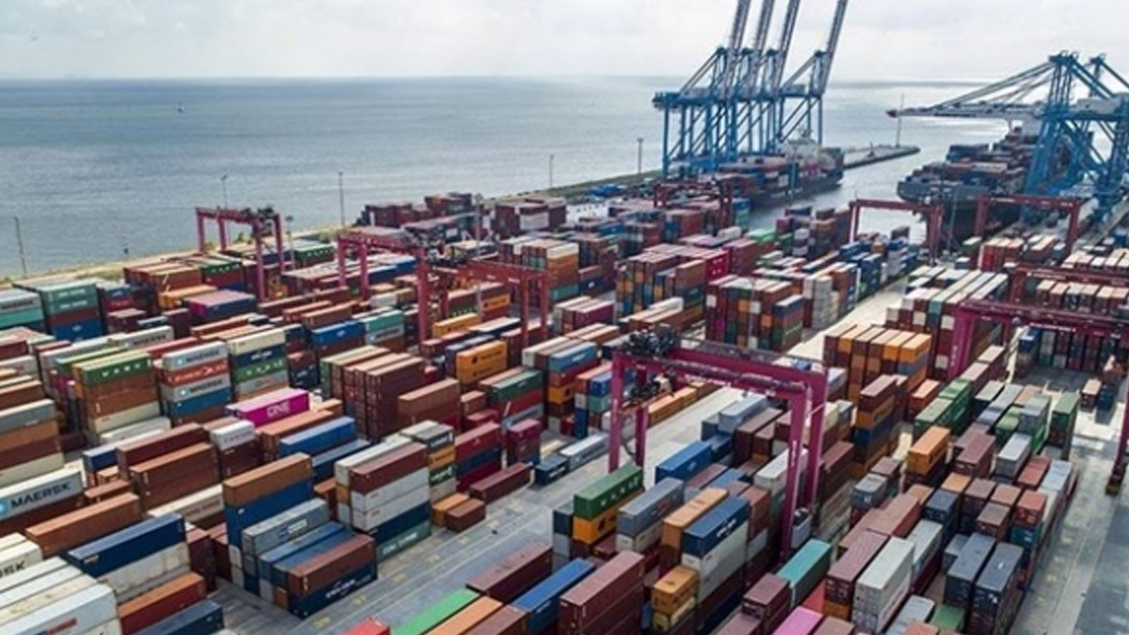 Les droits de douane ont été réduits sur les importations de lentilles vertes et d'avoine