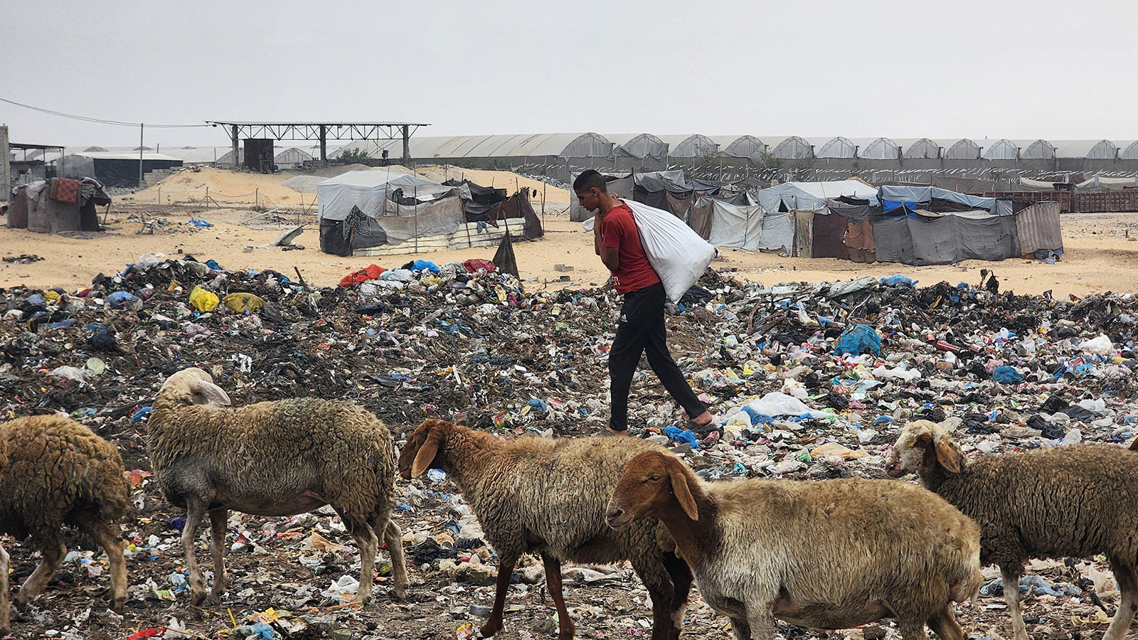 Plainte pénale du Barreau n°2 d'Istanbul contre les actions d'Israël à Gaza