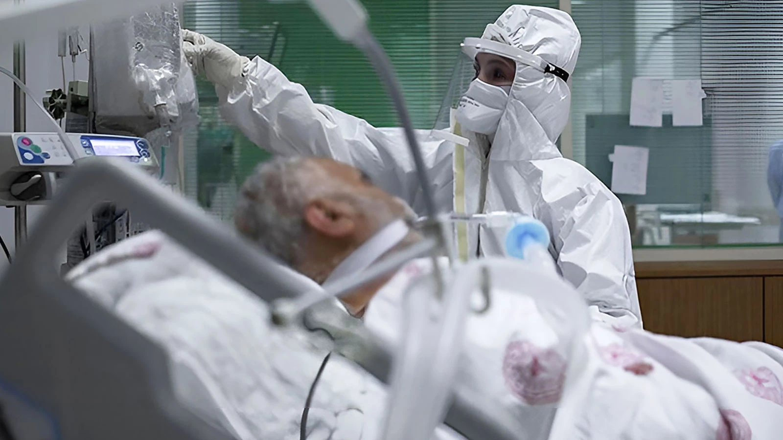 L'hiver compte le plus grand nombre de cas, à la fois de grippe A et de rhinovirus