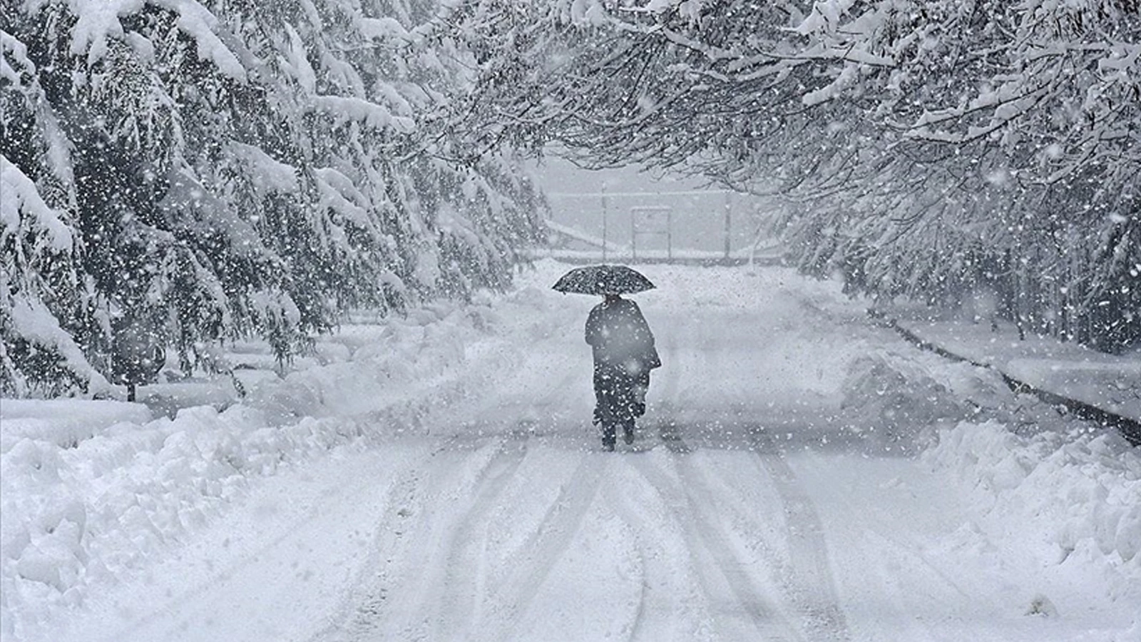 De fortes chutes de neige ont fait des morts au Japon ! 35 personnes sont mortes, 358 personnes ont été blessées