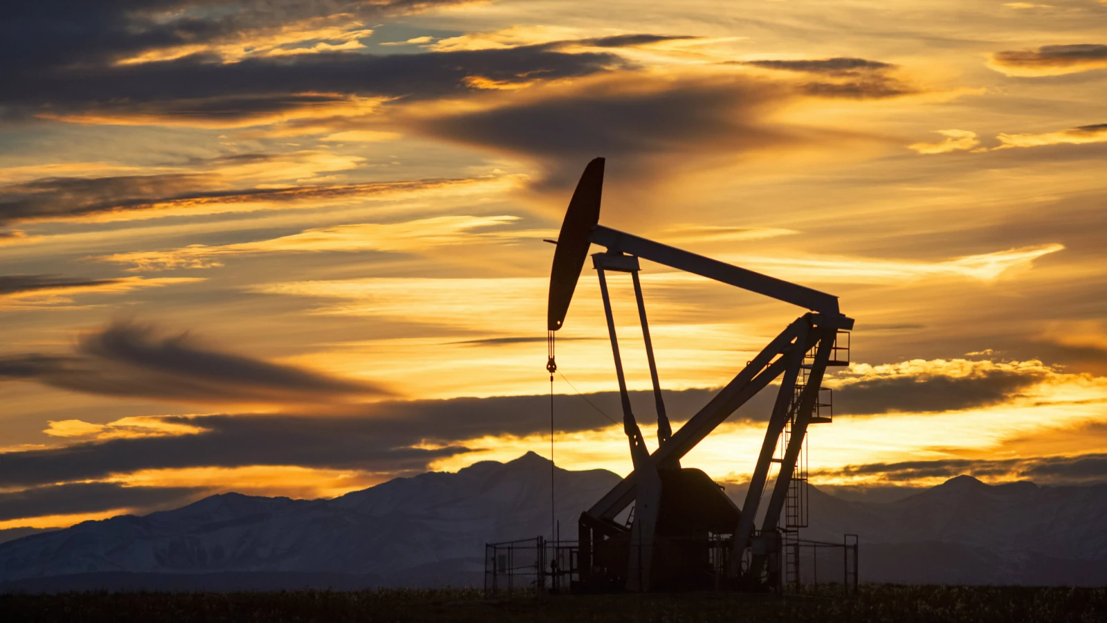 Les Émirats arabes unis ont introduit le « stockage » et les « prix exorbitants » !