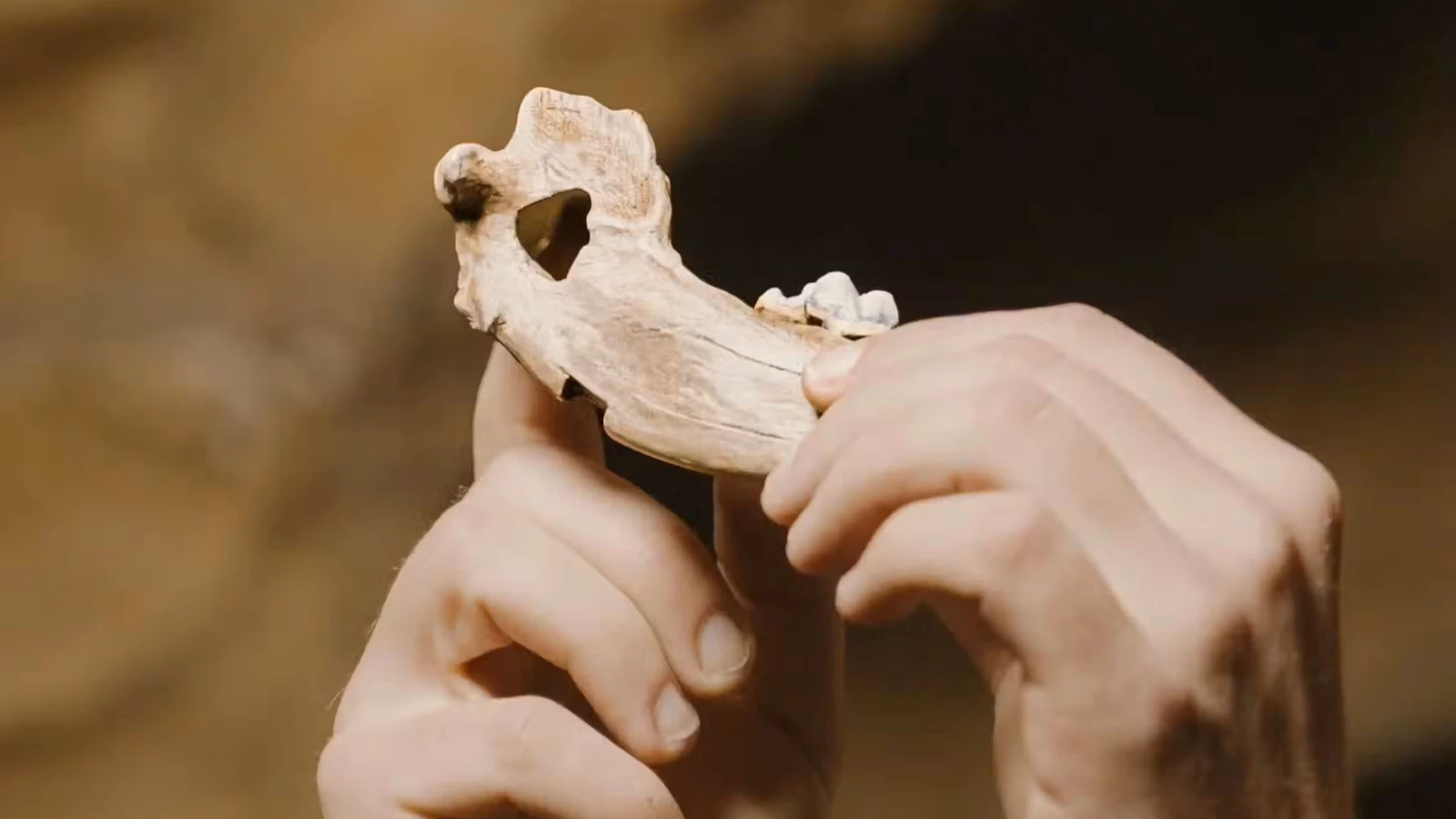 Preuves trouvées à Pınarbaşı en Turquie : une découverte qui change l'histoire