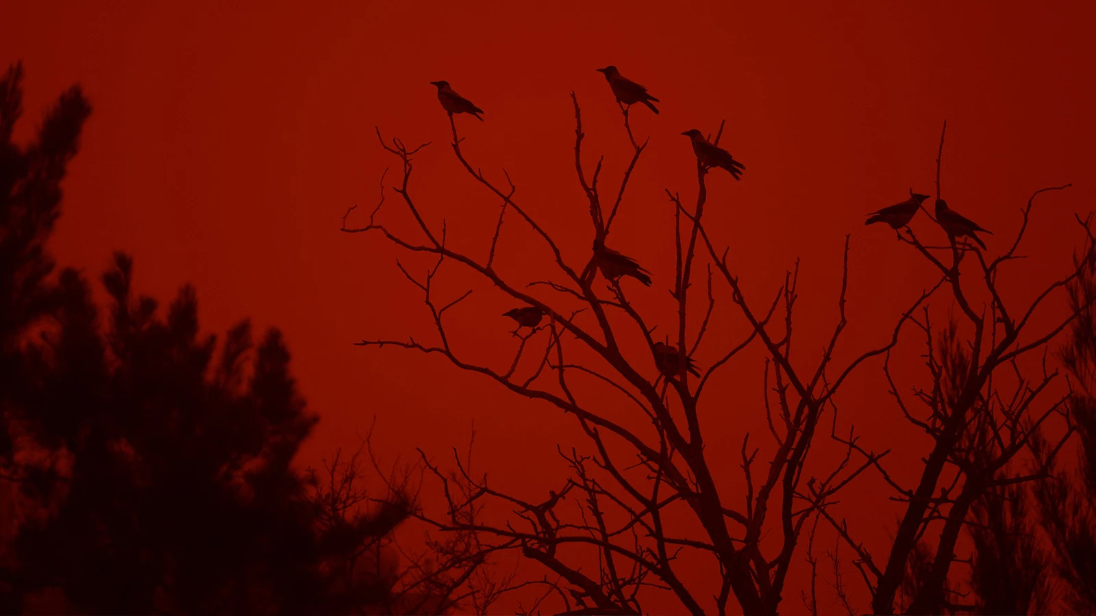 Des images incroyables de l’île de Crète ! est devenu rouge
