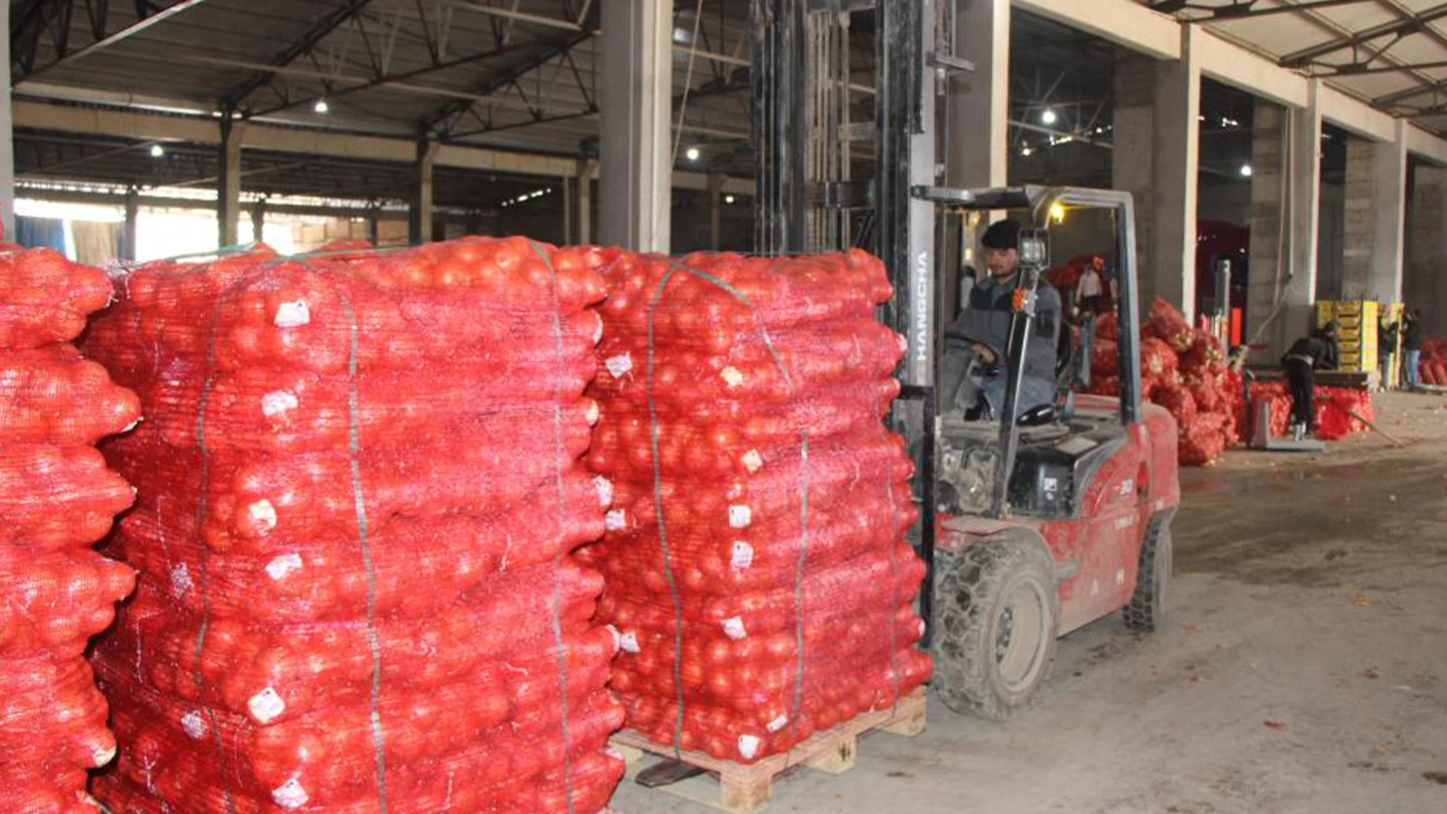 Il est vendu sur le marché pour 15 TL ; va dans le monde entier à partir d'ici