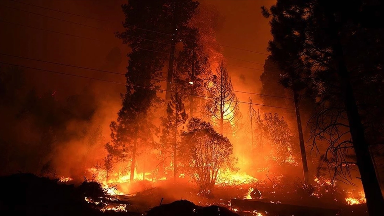 Incendie de forêt aux États-Unis : plus de 120 maisons réduites en cendres