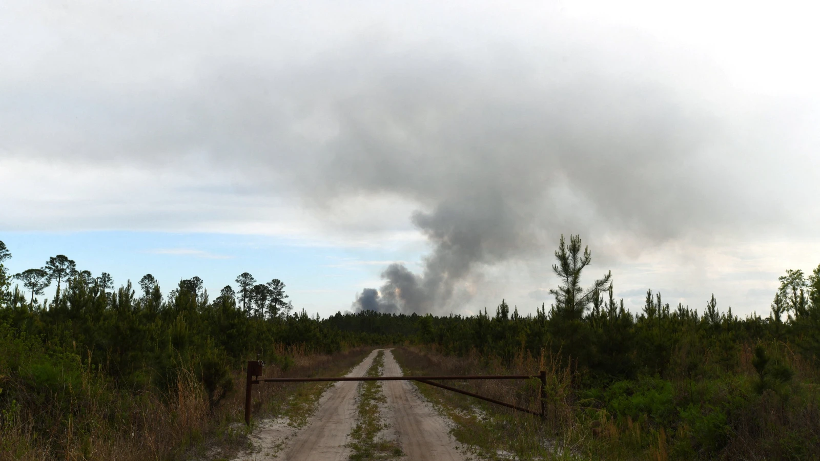 Incendies de forêt aux États-Unis : 54 maisons et 27 000 acres de terrain réduits en cendres