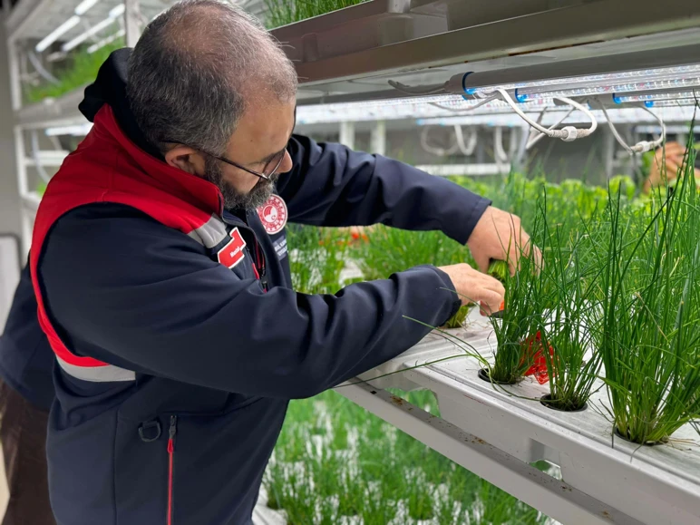 La production de fraises commence à 30 mètres sous terre à Istanbul - Photo : 2