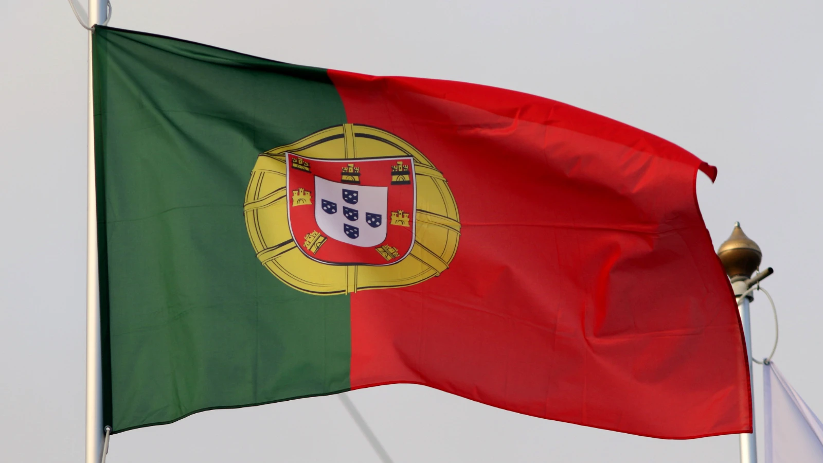 Attention à ceux qui souhaitent s'installer au Portugal : Faut-il privilégier un visa D7 ou D8 en 2026 ?