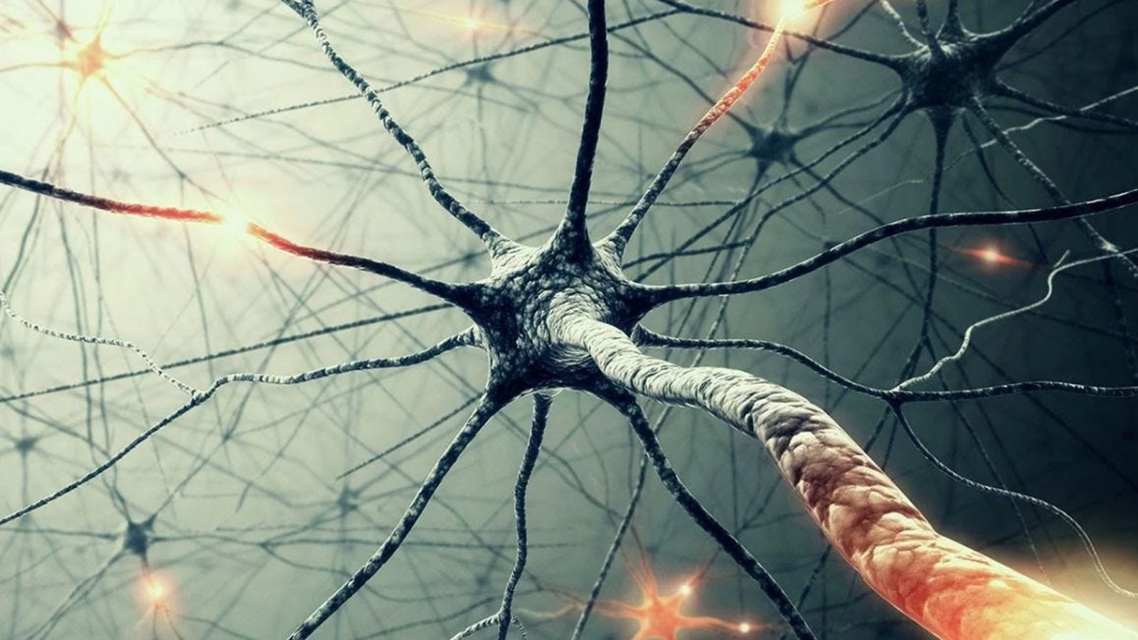Des cellules nerveuses artificielles capables de communiquer avec le cerveau ont été produites