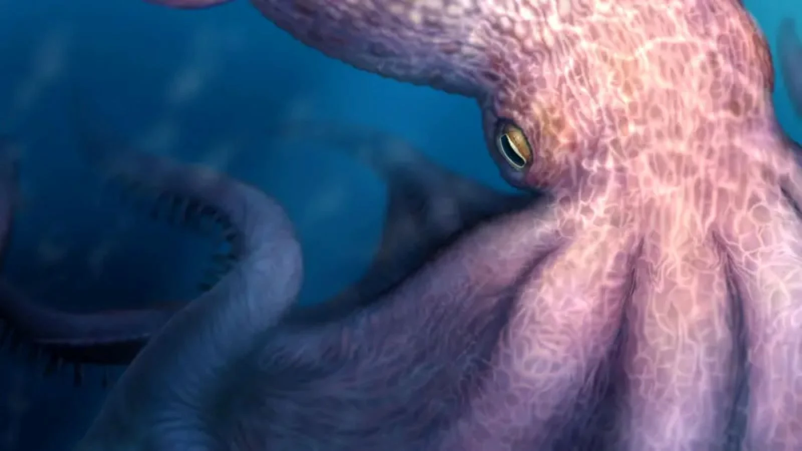 Kraken n'est plus un mythe : des poulpes intelligents de la taille d'un bus régnaient sur les océans préhistoriques