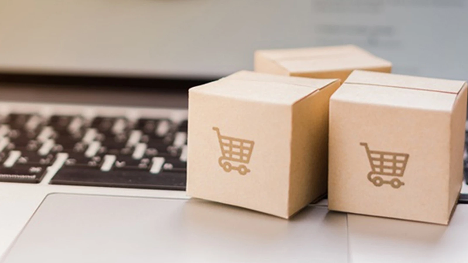 Le nombre de pays cibles en e-export a atteint 35
