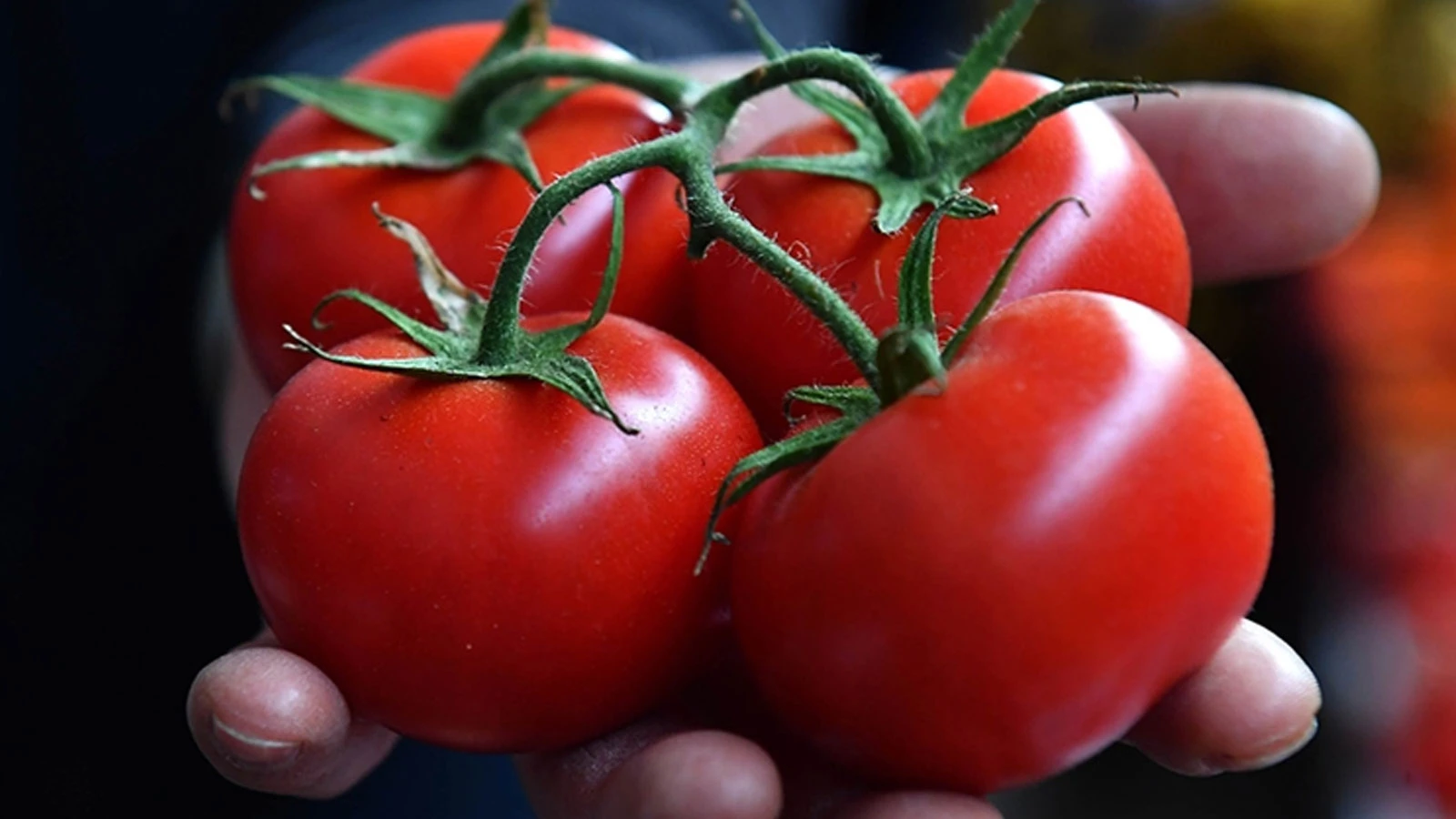 Le produit dont le prix a le plus augmenté en avril est la tomate, et le produit dont le prix a le plus diminué est l'aubergine.