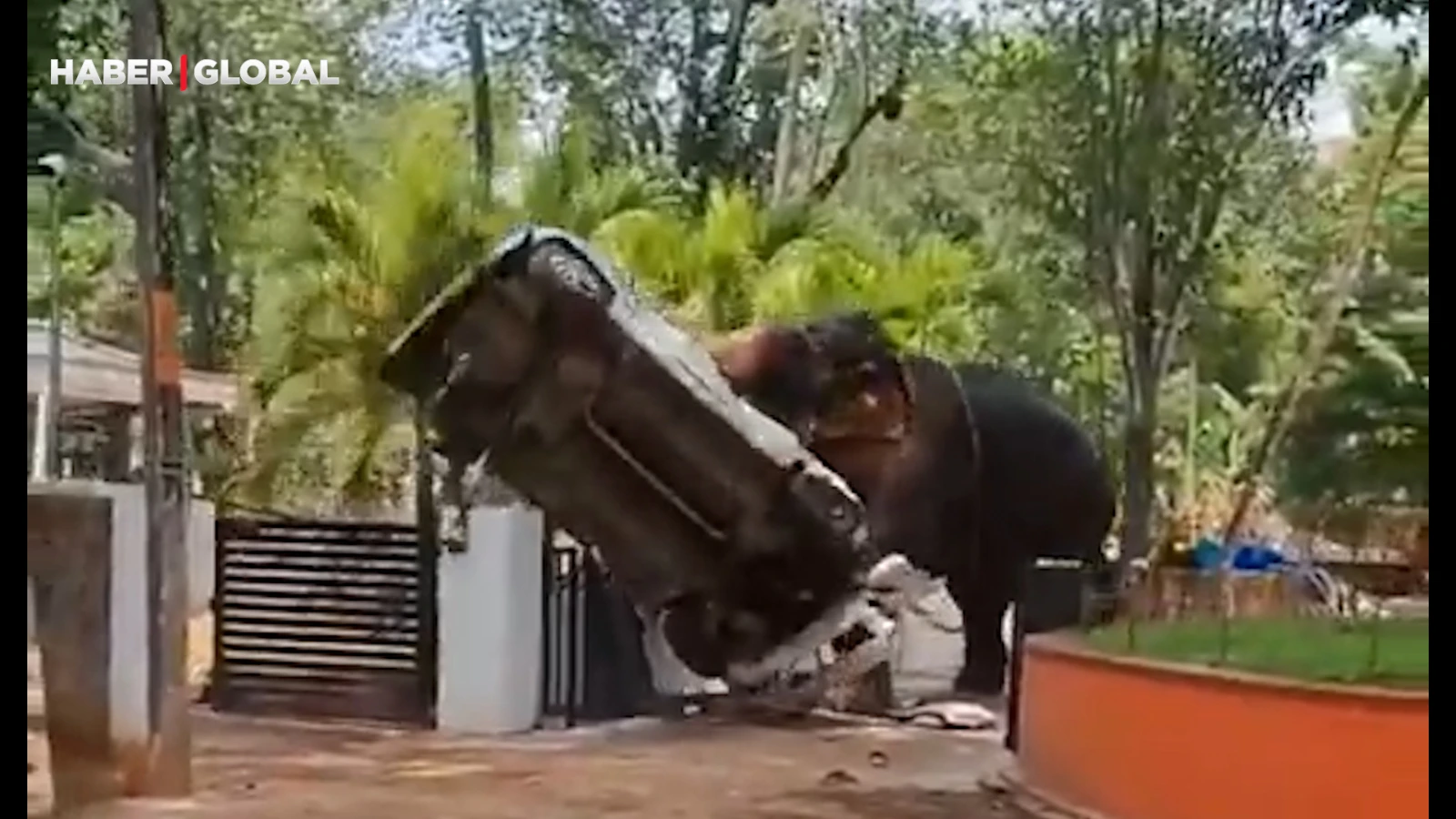 Un éléphant s'échappant d'un temple en Inde a semé la terreur : 1 mort