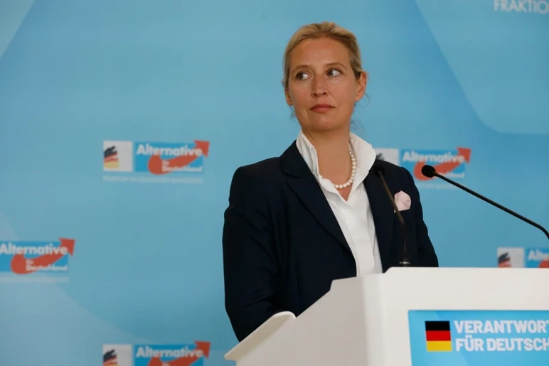 Le siège de Merz tremble, les réformes sont au point mort, la menace raciste de l'AfD - Photo: 2