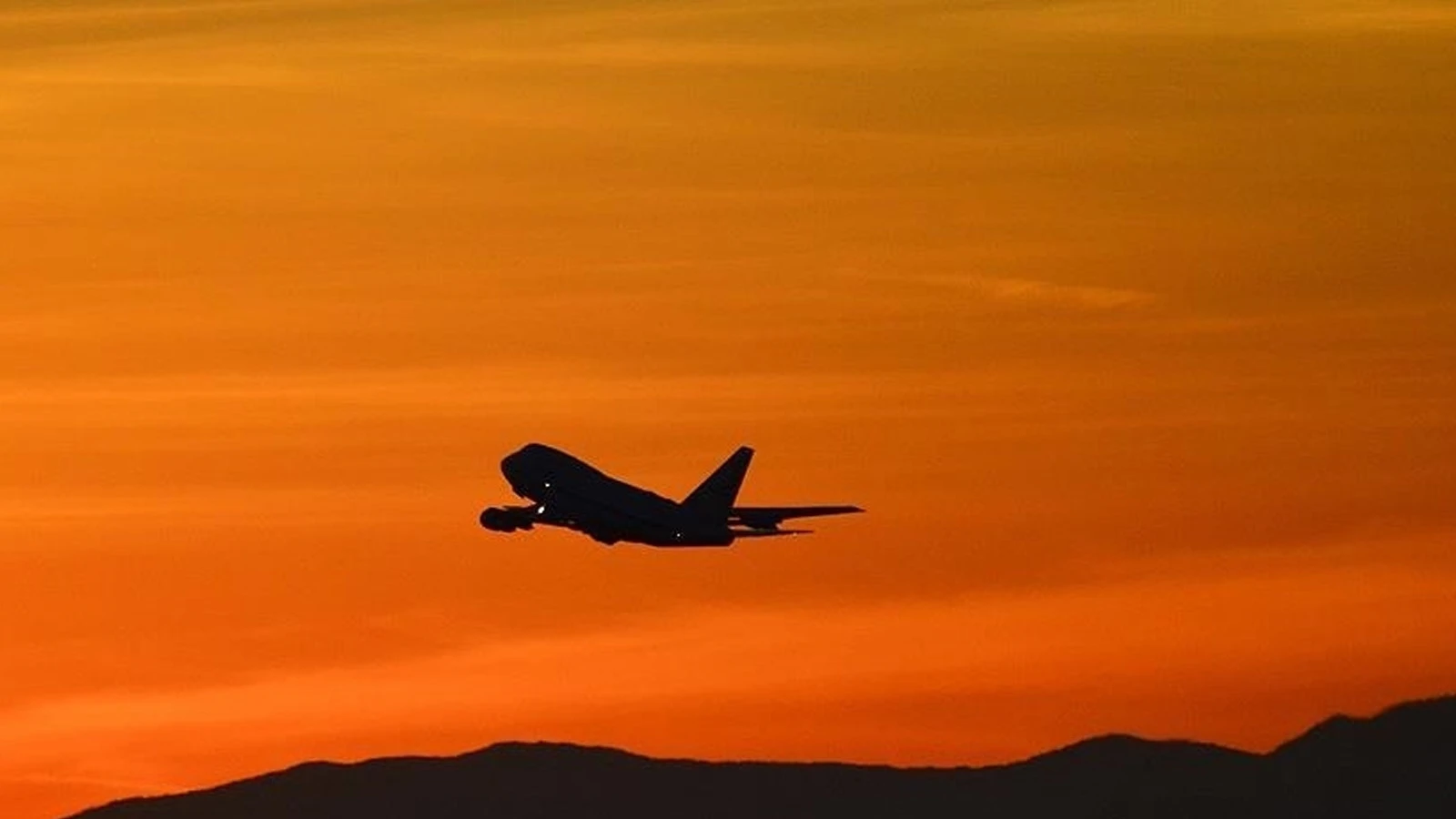 Il transportait des passagers et pilotait des avions... La vérité a été révélée après 17 ans