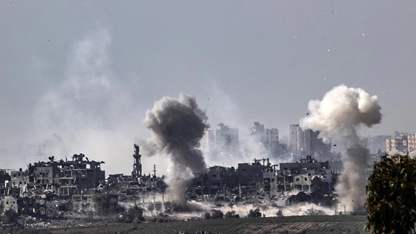 Le bilan des morts à Gaza s'élève à 72 mille 945