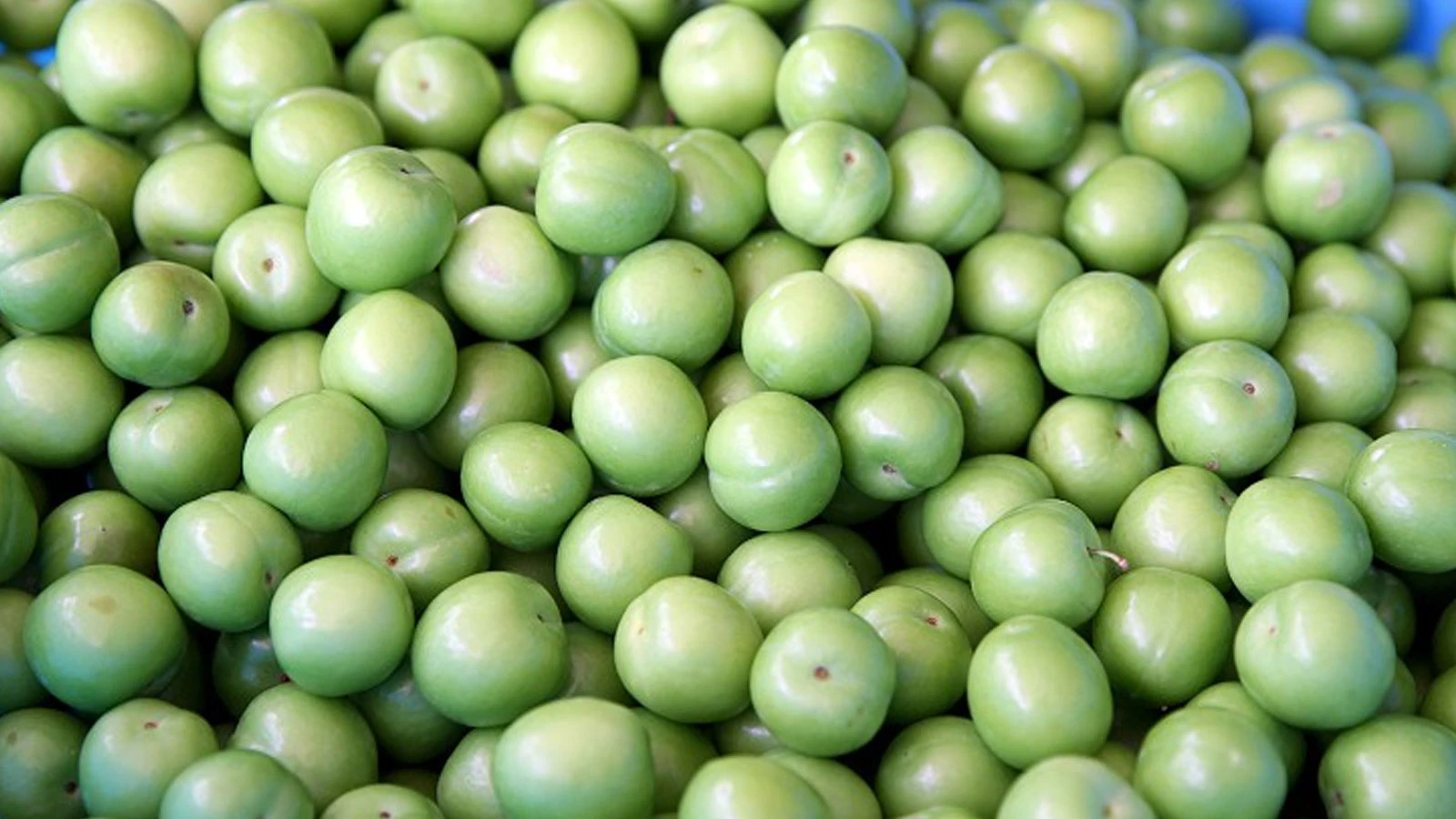 Les prunes étaient les plus chères en mai