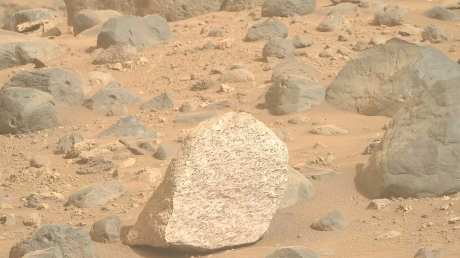Une découverte sur Mars qui fait dire « nous ne sommes pas seuls » !