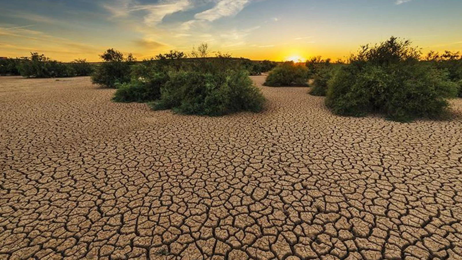 Sommes-nous arrivés au bout du chemin ? Les mers bouillonnent littéralement