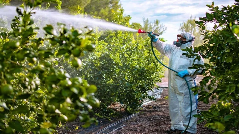 L’ère de l’utilisation des pesticides et des aliments riches en pesticides prendra fin - Photo : 2