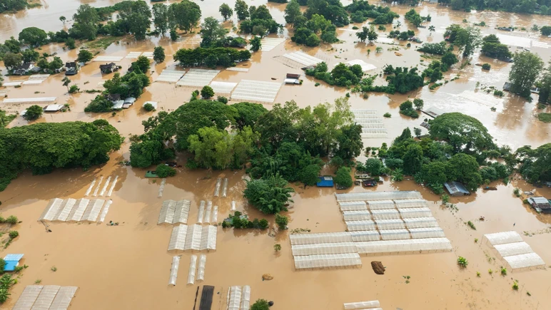 Alerte Super El Niño ! Sommes-nous prêts pour une nouvelle crise climatique ? - Photo : 2