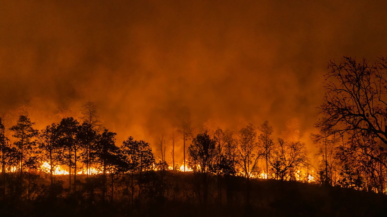 Alerte Super El Niño ! Sommes-nous prêts pour une nouvelle crise climatique ?