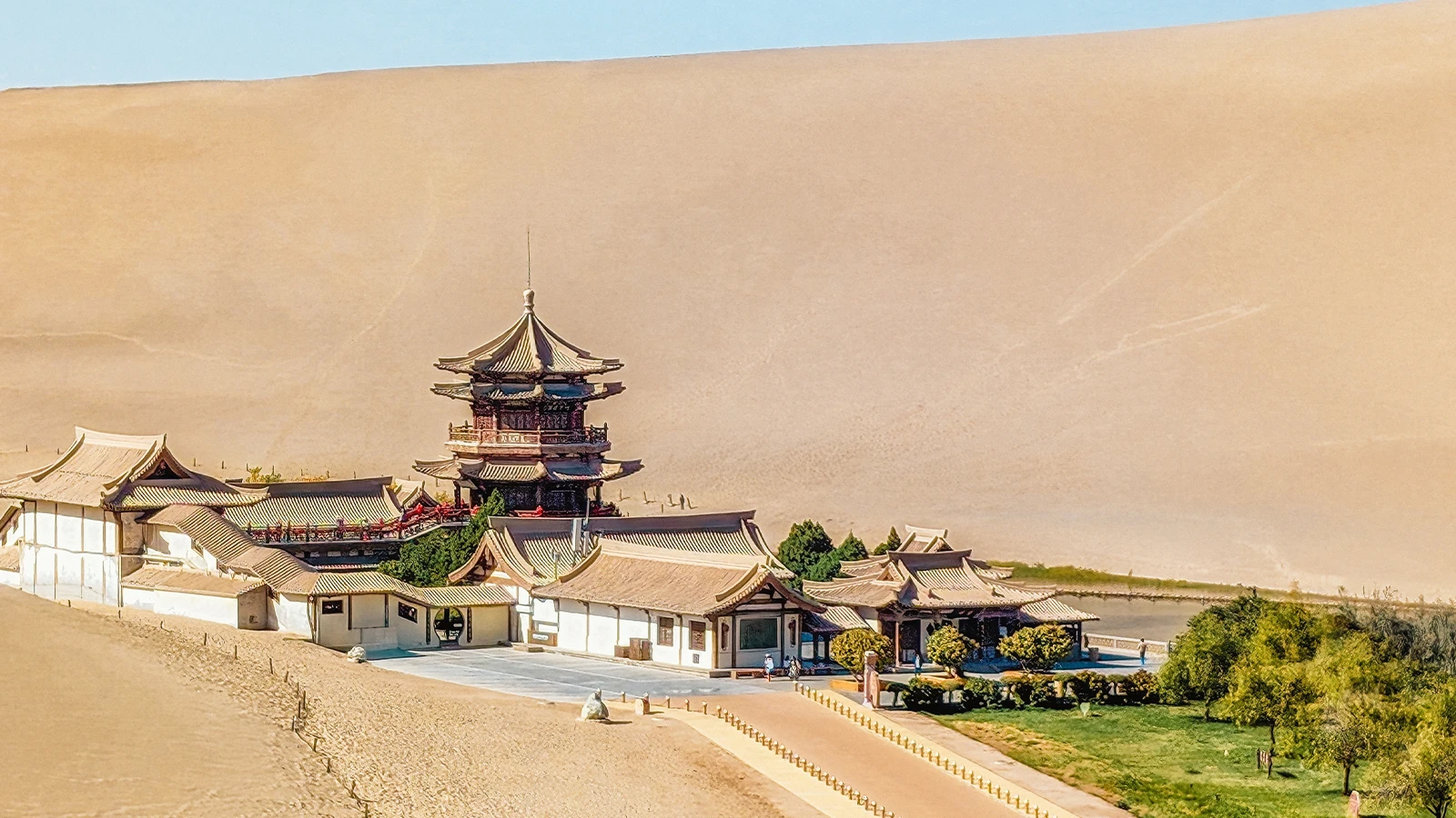 La progression du désert s'est arrêtée ! Résultats surprenants de la Muraille Verte de Chine