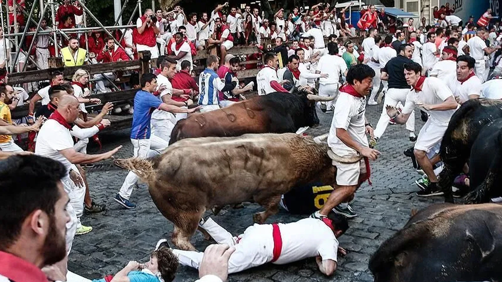 Bilan des courses de taureaux en 8 jours en Espagne : plus de 70 blessés