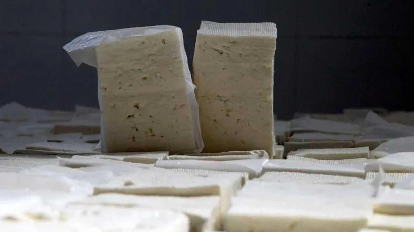 Déclaration de Tahsildaroğlu, où des « bactéries mortelles » ont été détectées dans son fromage