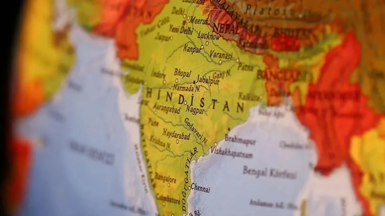 Il a été trouvé dans le cerveau d’une femme revenant d’un voyage en Inde ; 38 au total !