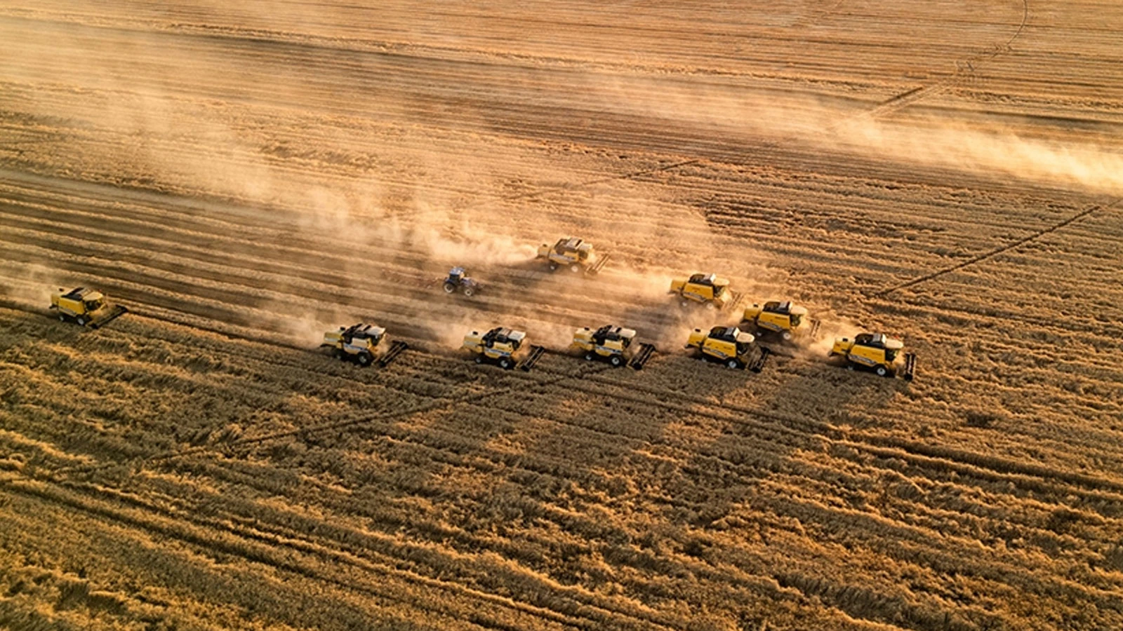 TMO a battu un record avec l'achat de 8,3 millions de tonnes de céréales