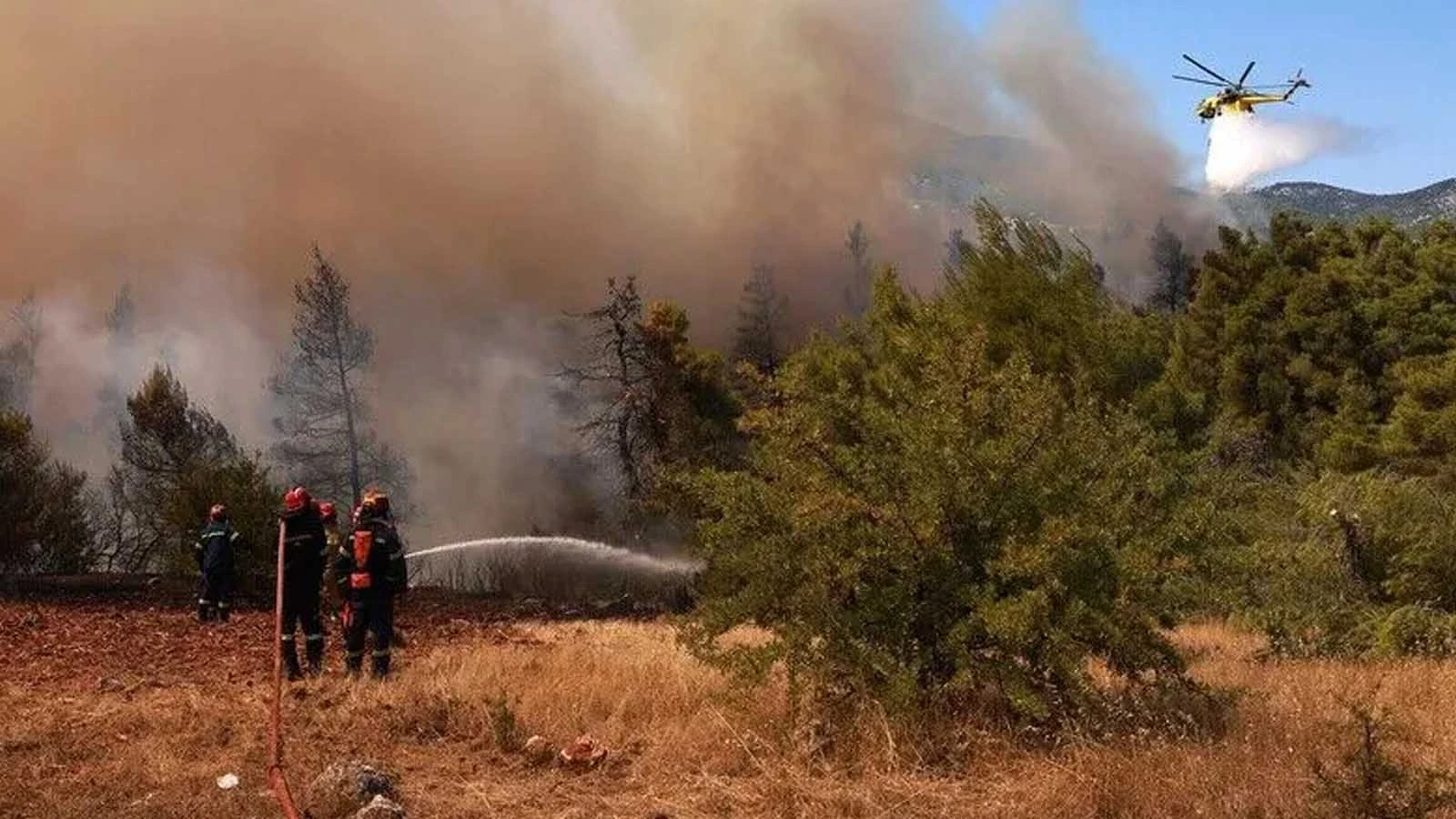 111 mille 732 décares ont été détruits lors de l'incendie en Attique et Voiotia en Grèce