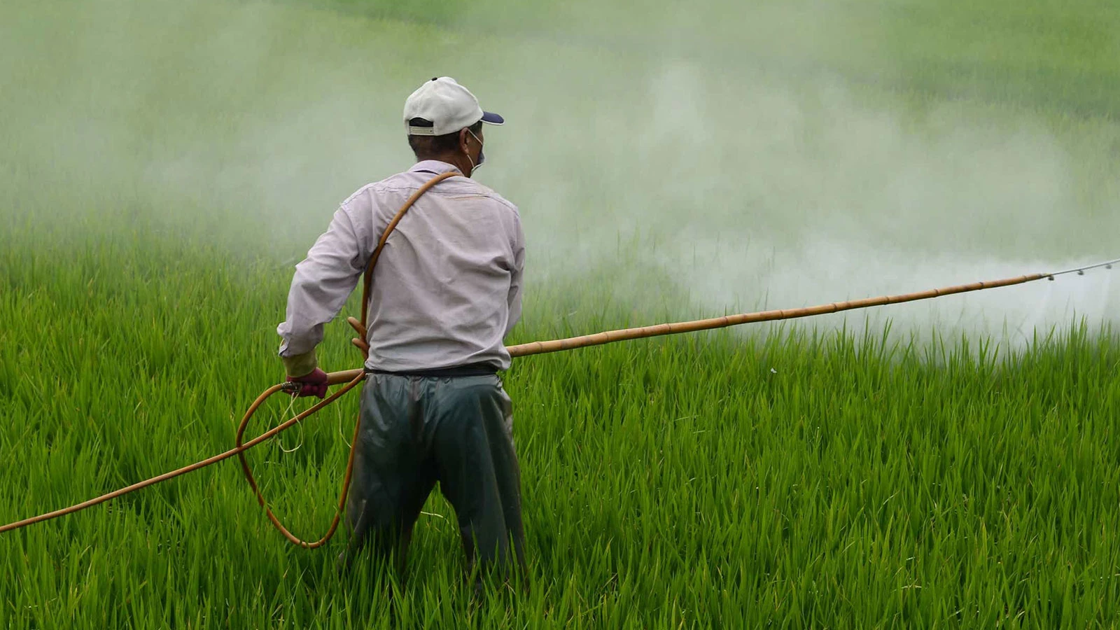 270 notifications, 197 refus aux frontières, les bulletins de pesticides sont toujours mauvais !