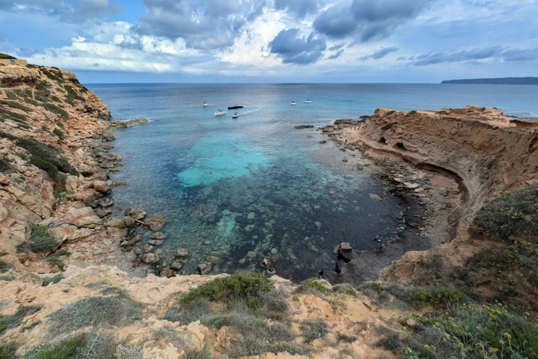 La Méditerranée est en danger, les herbiers marins risquent de disparaître ! - Photo : 2