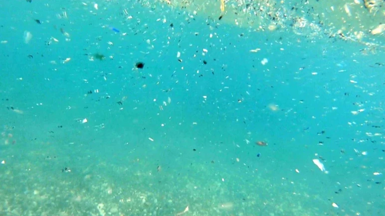 Des larmes de Méditerranée ! Le microplastique s’échoue sur le rivage ! - Photo : 2