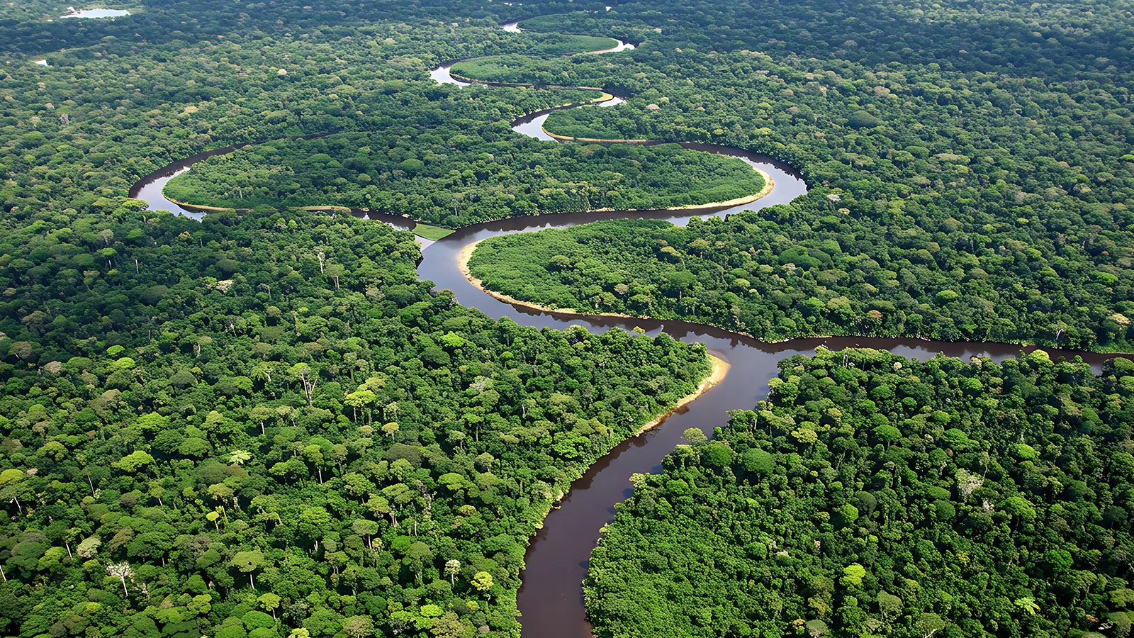 Grand secret sous la forêt amazonienne ! Des centaines de structures cachées découvertes