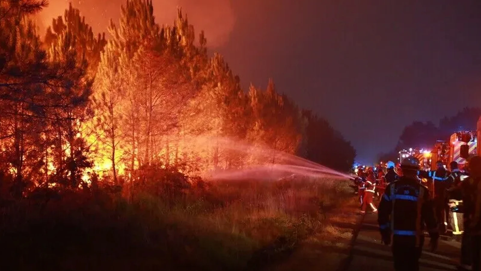 Incendie de forêt dans le nord de la France : 1 200 personnes évacuées