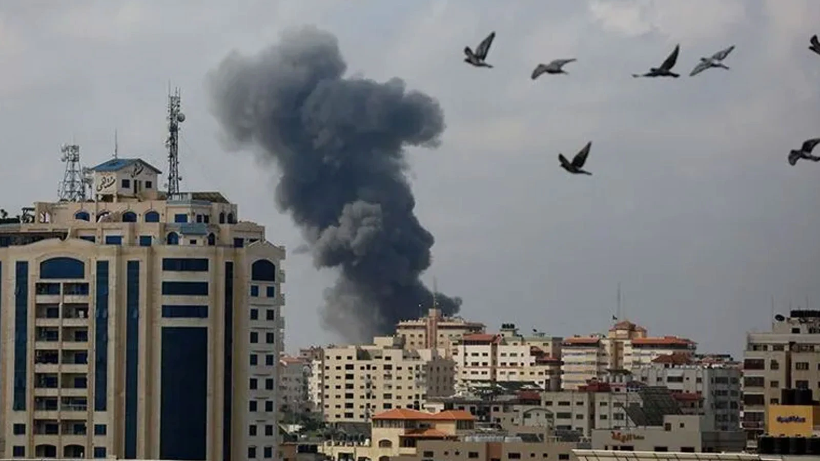 Israël a violé l'accord de cessez-le-feu 4 mille 379 fois en 318 jours